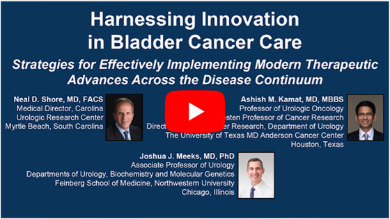 Harnessing Innovation in Bladder Cancer Care: Strategies for Effectively Implementing Modern Therapeutic Advances Across the Disease Continuum