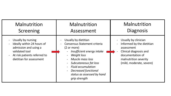 Processes Leading to Malnutrition Intervention